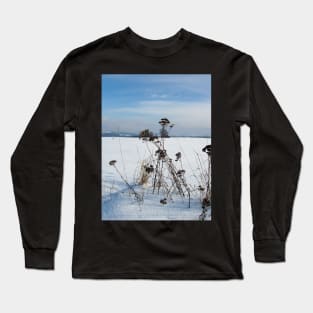 Grasses in snow Long Sleeve T-Shirt